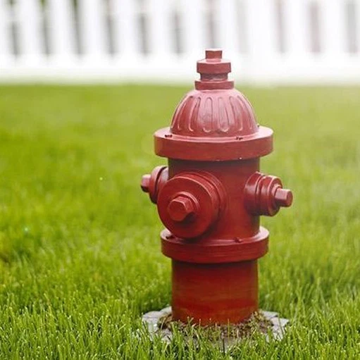 Elevating Heroism  Eques in the Fire Service